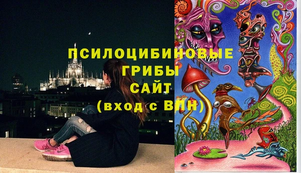mdpv Михайловск