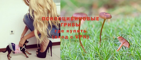 гидра Михайлов