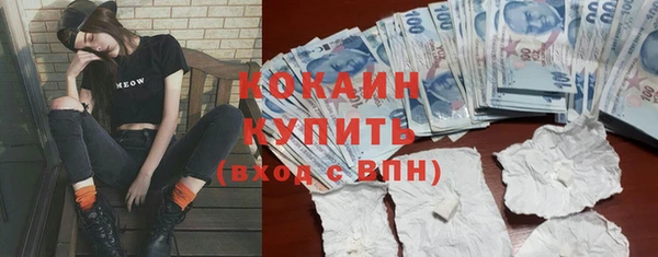 гидра Михайлов