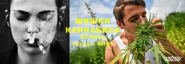 гидра Михайлов