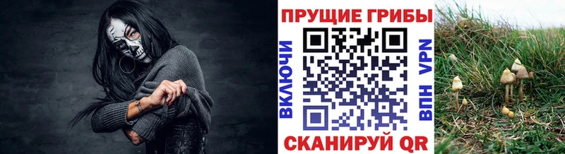 Галлюциногенные грибы MAGIC MUSHROOMS Шахунья