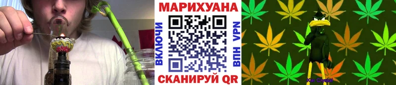 Шишки марихуана Amnesia  Шахунья 